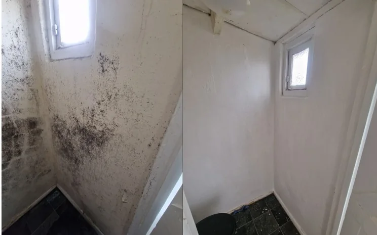 The same room corner before and after professional mould removal and sterilisation