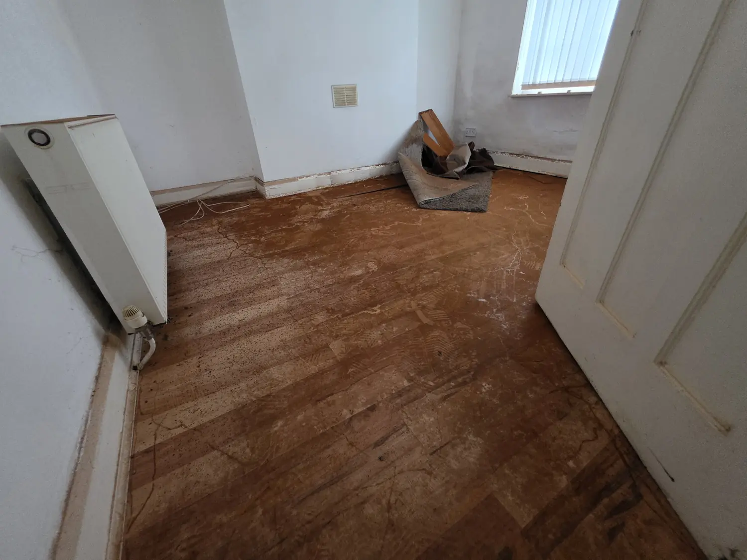 A room stripped back for timber works, with rust-coloured spore dust still spread across the exposed floorboards