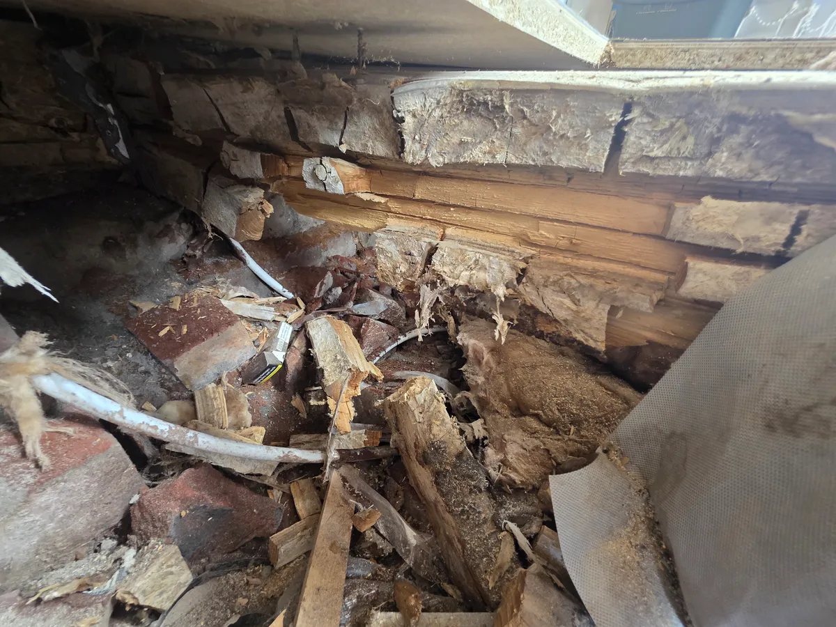 Decayed floor joists and broken timber exposed beneath a lifted suspended floor.