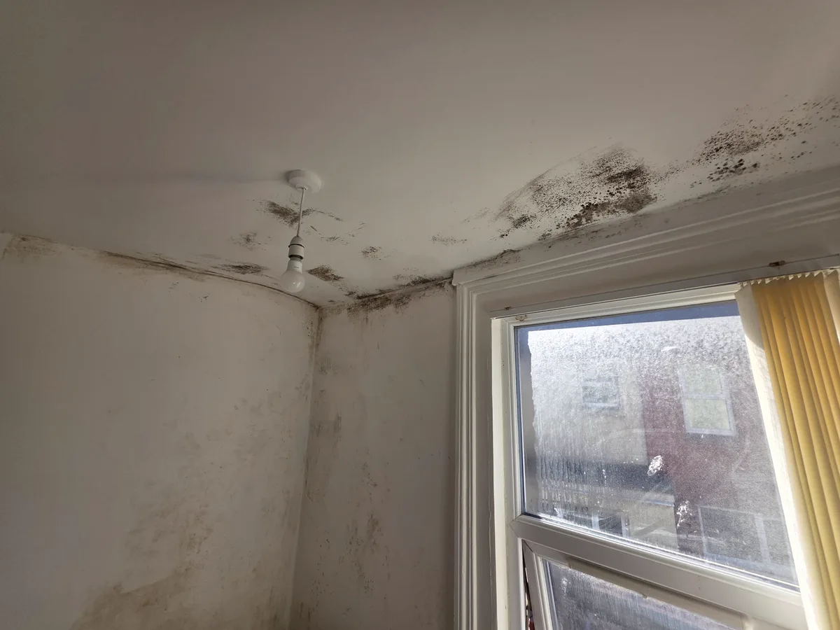 Black mould spreading across a bedroom ceiling and wall beside a condensation-covered window.