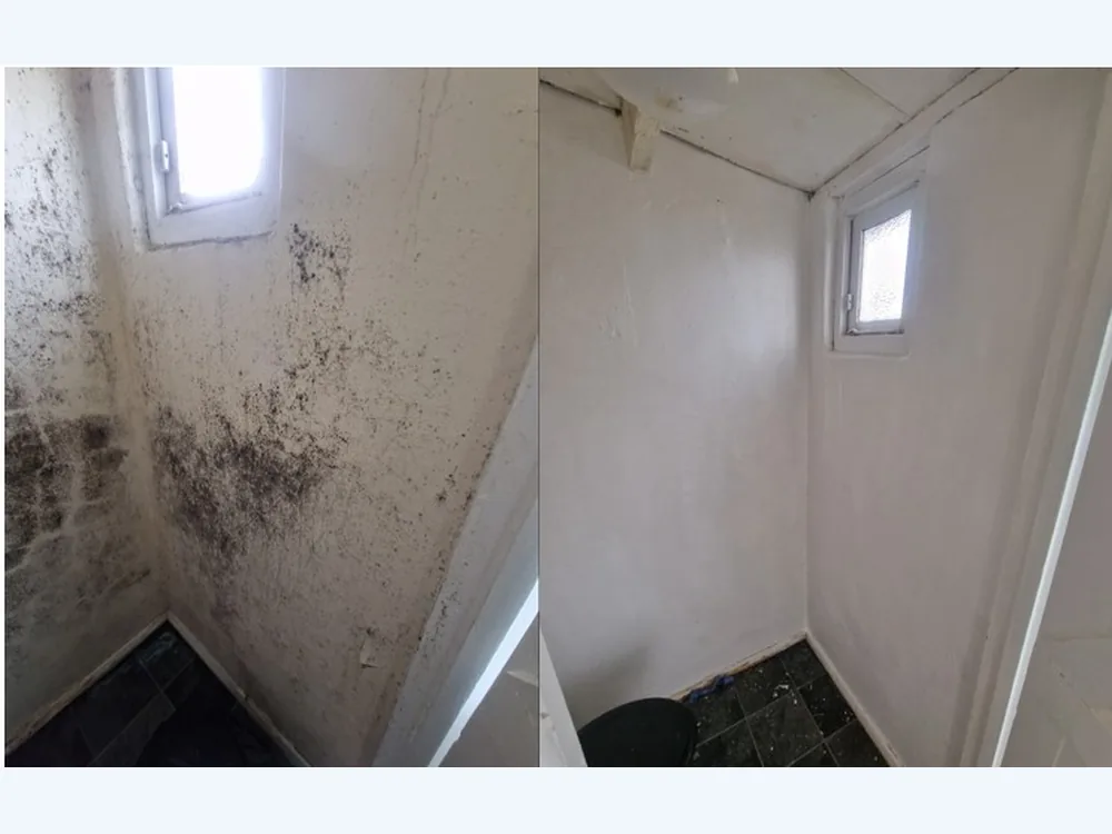 The same room corner photographed before and after professional mould removal and sterilisation, black growth on the left and a clean white wall on the right