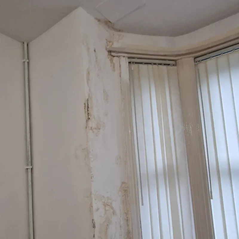 Brown damp staining running down the reveal and wall beside a bay window