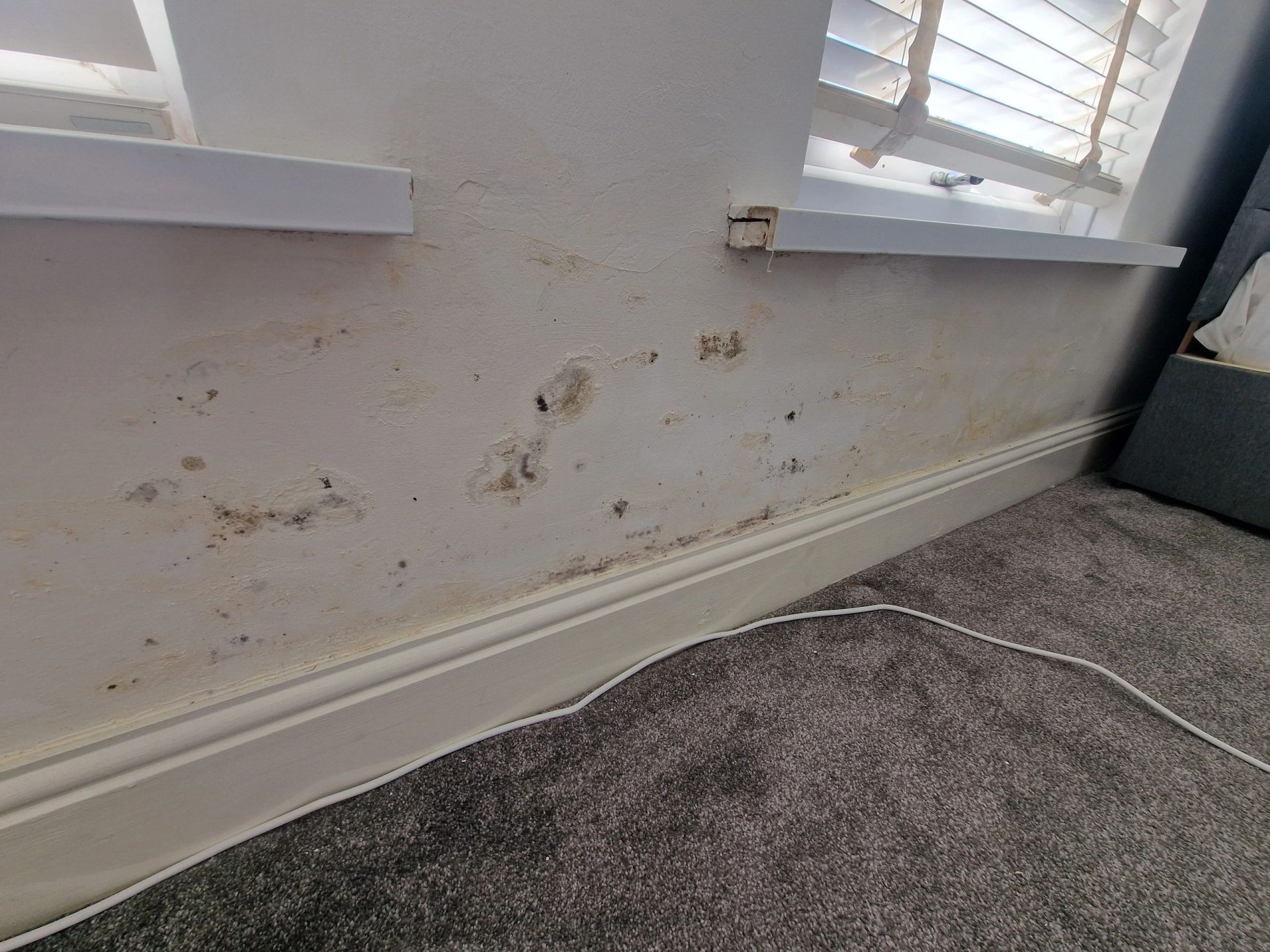 There are 3 main categories of Damp in your home.