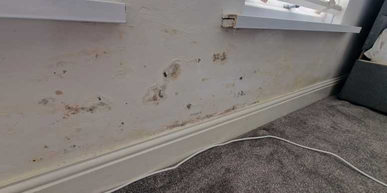 There are 3 main categories of Damp in your home.