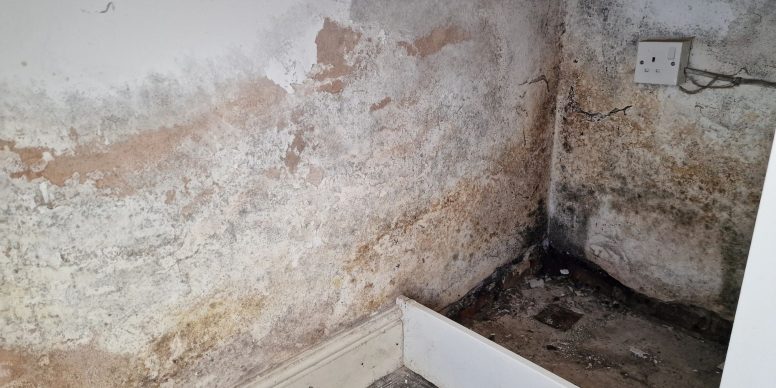 Damp Proofing Liverpool: The Complete Guide.