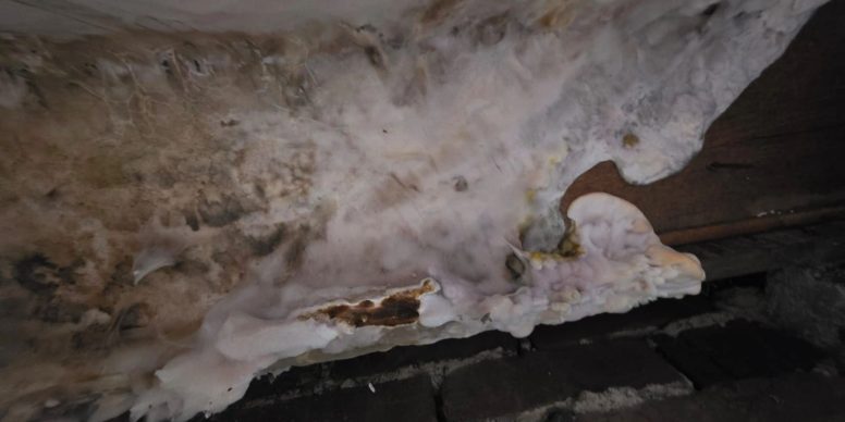 Dry Rot Treatment Liverpool & Southport