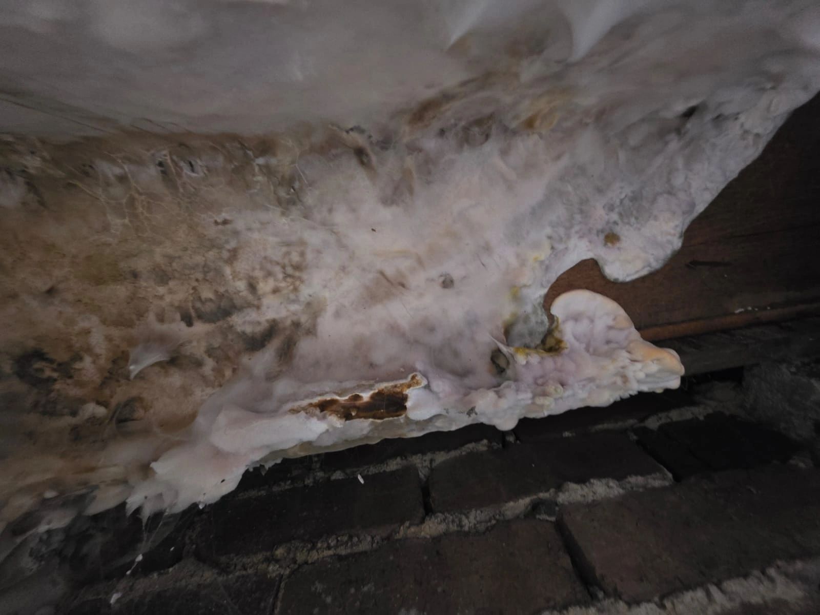 Dry Rot Treatment Liverpool & Southport