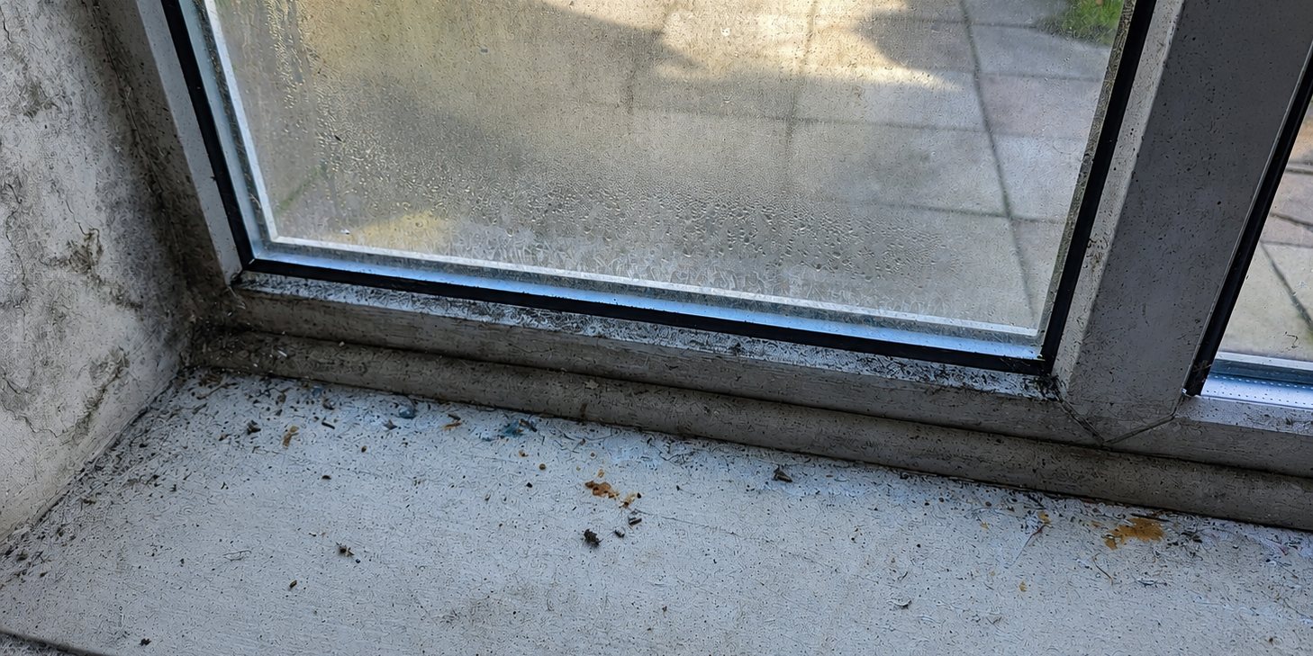 Black mould growing along the bottom of a window reveal and across the sill of a cold external wall.